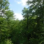 木屋 199 杜柏