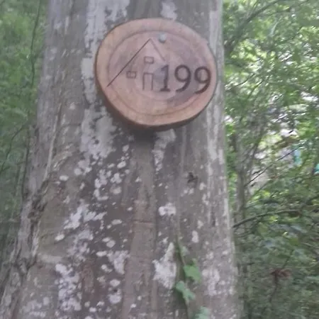 199