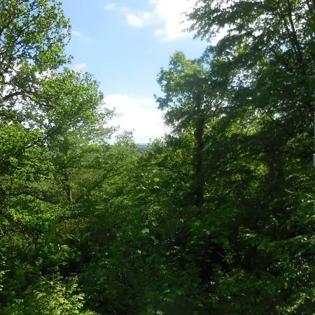 Alpehytte 199 Durbuy